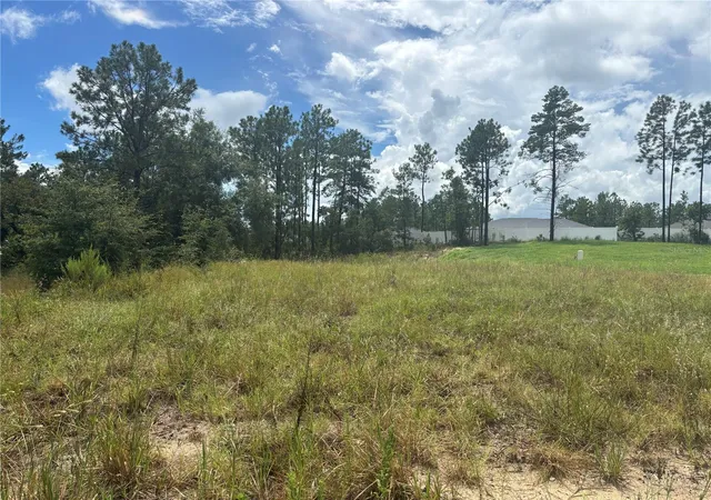 Photo 2 of Land for sale at 12828 Sw 86 Circle, Ocala, FL 34473 | MLS# OM731546 | Listing updated on 2026-09-03
