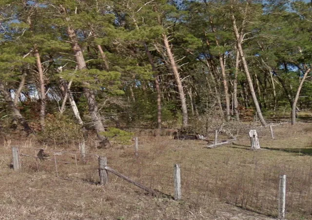 Photo 2 of Land for sale at SE 140 Avenue, Williston, FL 32696 | MLS# A4704834 | Listing updated on 2026-09-17