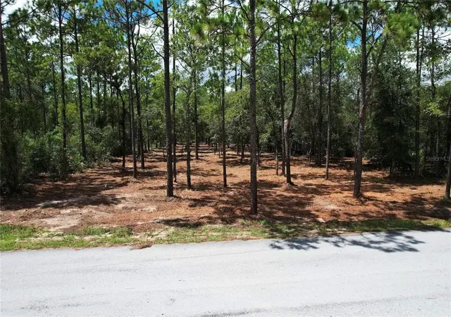 Photo 1 of Land for sale at Sw 183rd Terrace, Dunnellon, FL 34432 | MLS# O6438514 | Listing updated on 2026-10-09