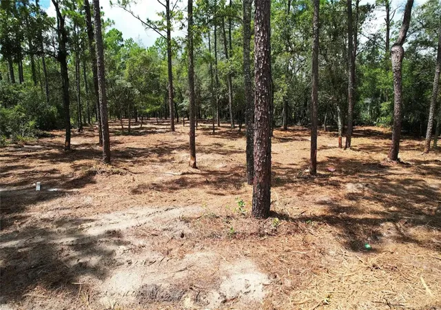 Photo 3 of Land for sale at Sw 183rd Terrace, Dunnellon, FL 34432 | MLS# O6438514 | Listing updated on 2026-10-09