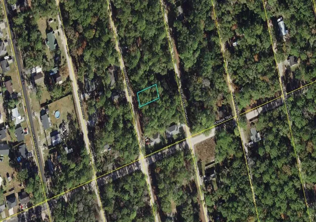 Photo 2 of Land for sale at 00 00 035 008 07417 000 Choctaw Rd, Crawfordville, FL 32327 | MLS# A4704843 | Listing updated on 2026-09-03