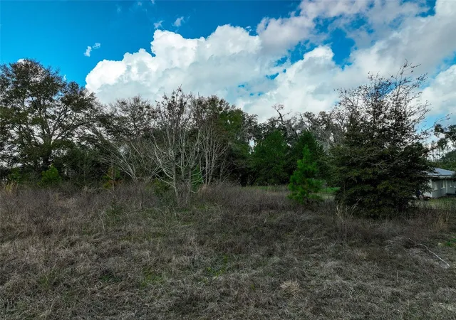 Photo 4 of Land for sale at 106 NW Fat Cat Ct, Lake City, FL 32055 | MLS# D6148651 | Listing updated on 2026-10-01