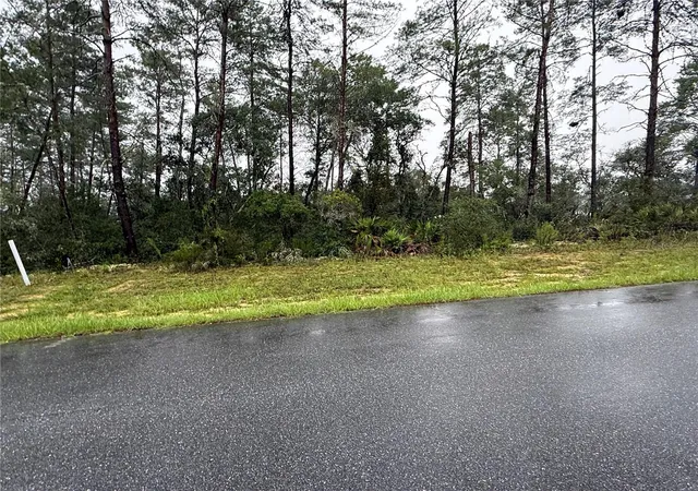 Photo 1 of Land for sale at 0 Sw 176th Loop, Ocala, FL 34473 | MLS# OM731576 | Listing updated on 2026-09-03