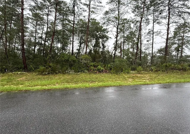 Photo 2 of Land for sale at 0 Sw 176th Loop, Ocala, FL 34473 | MLS# OM731576 | Listing updated on 2026-09-03