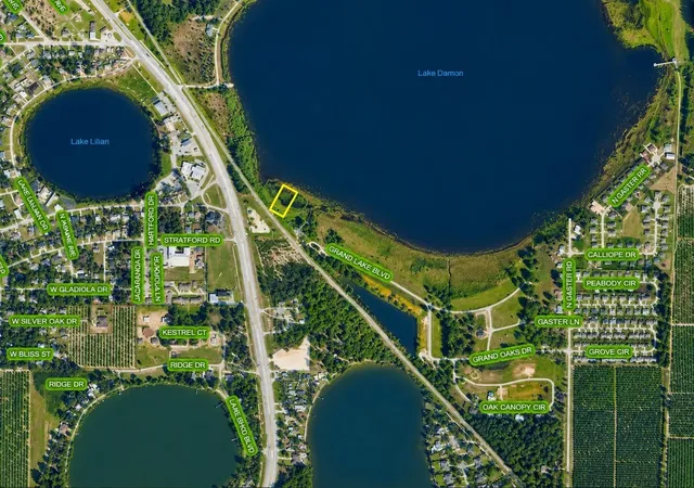 Photo 3 of Land for sale at 994 Grand Lake Blvd, Avon Park, FL 33825 | MLS# C7530296 | Listing updated on 2026-09-03