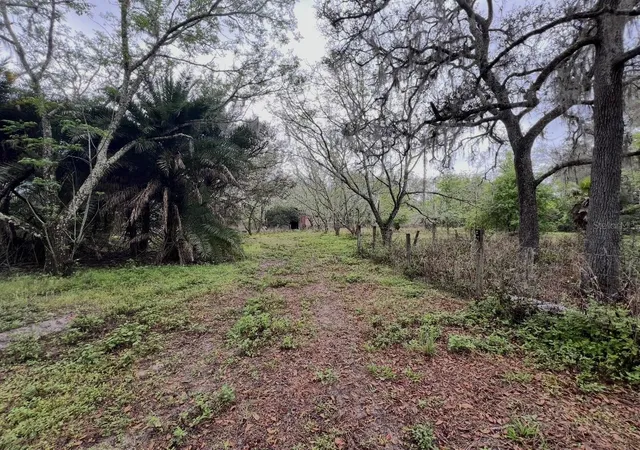 Photo 2 of Land for sale at 20231 Painter Pl, Spring Hill, FL 34610 | MLS# W7889158 | Listing updated on 2026-09-03