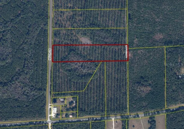 Photo 1 of Land for sale at Nw County Rd 239, Lake Butler, FL 32054 | MLS# GC543212 | Listing updated on 2026-09-03