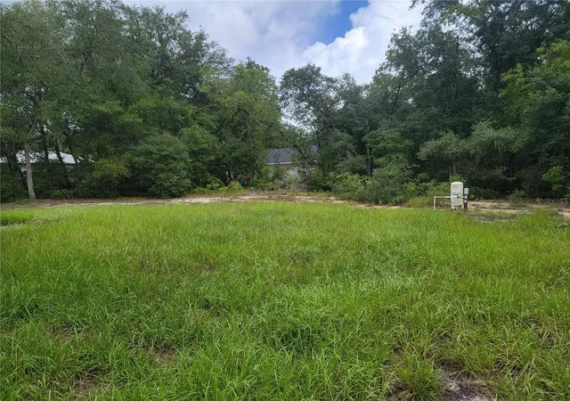 Photo 3 of Single family home for sale at 77 Fisher Way Crse, Ocklawaha, FL 32179 | MLS# OM731612 | Listing updated on 2026-09-03