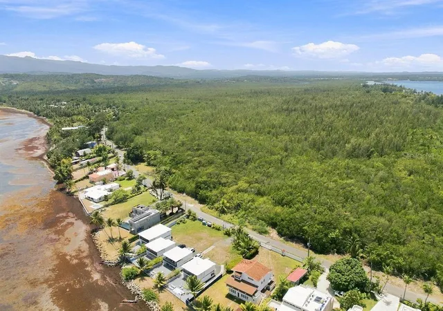 Photo 2 of Land for sale at Pr 968 Km 21 Las Picúas Camino Las Picuas, Rio Grande, PR 00745 | MLS# PR9123917 | Listing updated on 2026-09-03