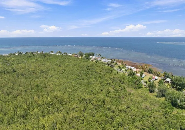 Photo 3 of Land for sale at Pr 968 Km 21 Las Picúas Camino Las Picuas, Rio Grande, PR 00745 | MLS# PR9123917 | Listing updated on 2026-09-03