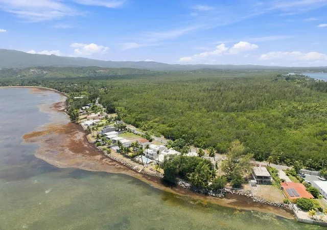 Photo 3 of Land for sale at Pr-968 Km 21 Las Picúas Camino Las Picuas, Rio Grande, PR 00745 | MLS# PR9123917 | Listing updated on 2026-10-13