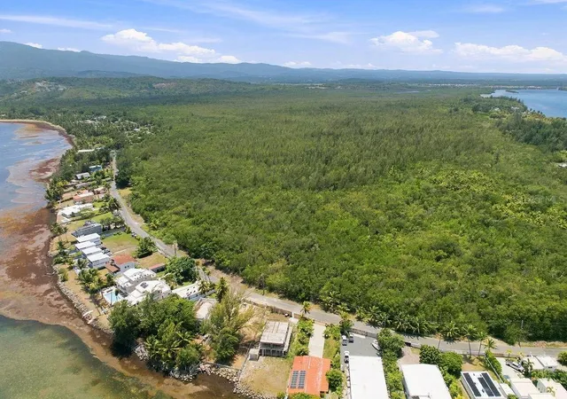 Photo 4 of Land for sale at Pr-968 Km 21 Las Picúas Camino Las Picuas, Rio Grande, PR 00745 | MLS# PR9123917 | Listing updated on 2026-10-13