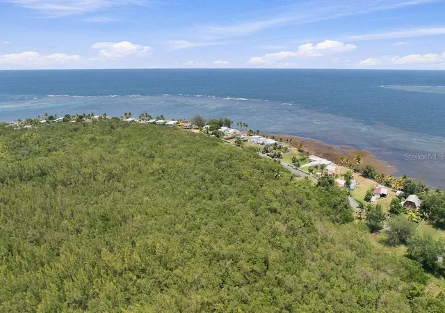 Photo 6 of Land for sale at Pr 968 Km 21 Las Picúas Camino Las Picuas, Rio Grande, PR 00745 | MLS# PR9123917 | Listing updated on 2026-09-03