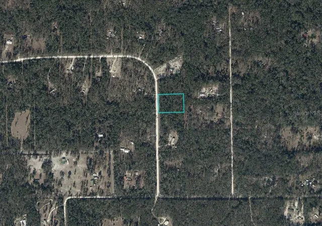 Photo 3 of Land for sale at Ne 386th Avenue, Old Town, FL 32680 | MLS# A4704958 | Listing updated on 2026-09-03