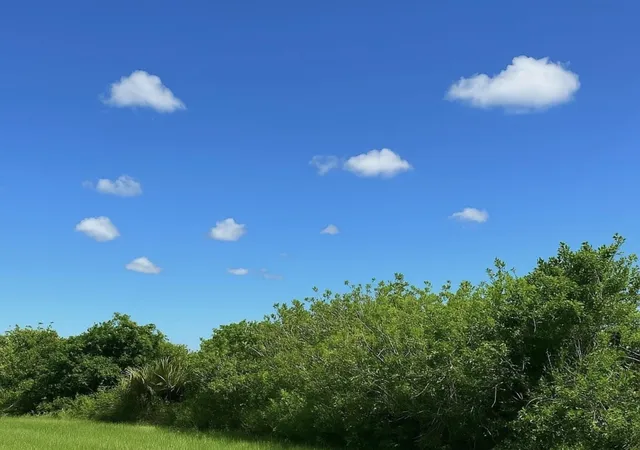 Photo 2 of Land for sale at 6617 Se 26th Trail, Okeechobee, FL 34974 | MLS# F10507198 | Listing updated on 2026-09-14
