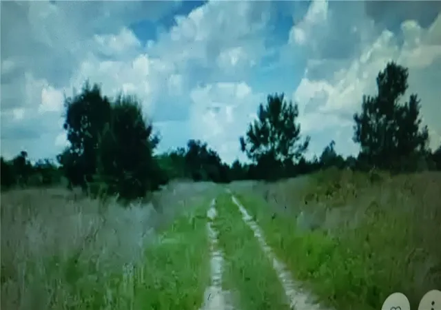Land for sale at Lot D6 Palm Cir, Branford, GA 32008 | MLS# F10306273