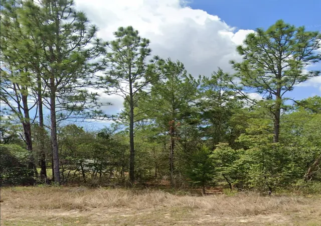 Photo 2 of Land for sale at 3808 W Indian Rock Pl, Citrus Springs, FL 34433 | MLS# F10533835 | Listing updated on 2026-09-15