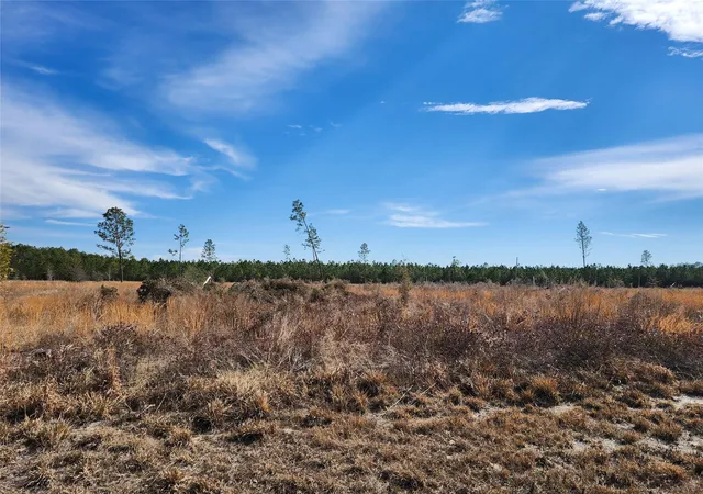 Photo 1 of Land for sale at Lot 50 Fl 50, Live Oak, FL 32060 | MLS# F10549749 | Listing updated on 2026-09-14