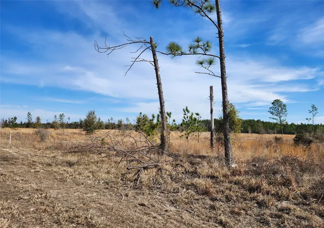 Photo 2 of Land for sale at Lot 50 Fl 50, Live Oak, FL 32060 | MLS# F10549749 | Listing updated on 2026-09-14