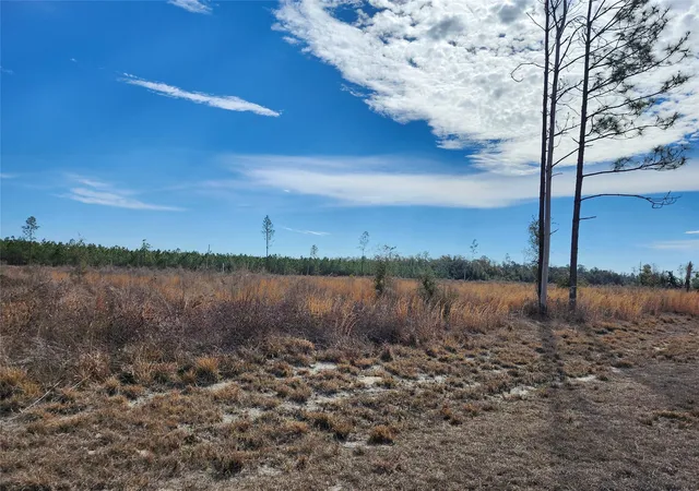 Photo 3 of Land for sale at Lot 50 Fl 50, Live Oak, FL 32060 | MLS# F10549749 | Listing updated on 2026-09-14