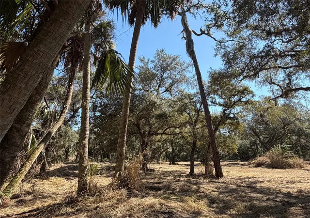 Photo 2 of Land for sale at Tbd Se 40th Avenue, Okeechobee, FL 34974 | MLS# F10552265 | Listing updated on 2026-09-14