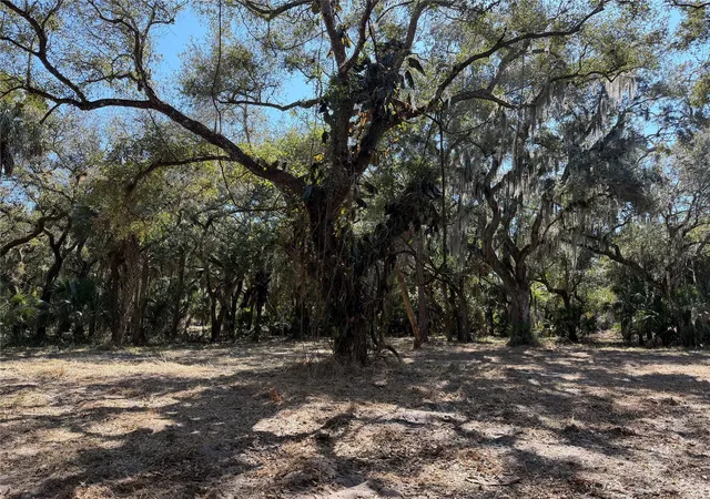 Photo 3 of Land for sale at Tbd Se 40th Avenue, Okeechobee, FL 34974 | MLS# F10552265 | Listing updated on 2026-09-14