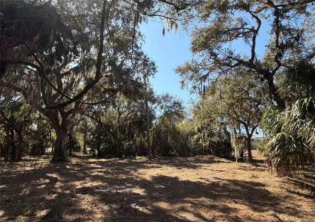 Photo 3 of Land for sale at Tbd SE 40th Avenue, Okeechobee, FL 34974 | MLS# F10552265 | Listing updated on 2026-09-14