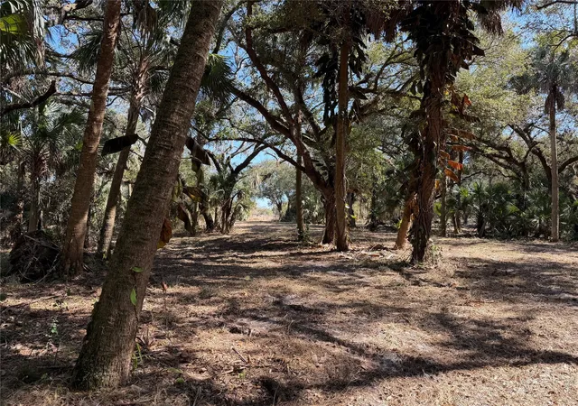 Photo 4 of Land for sale at Tbd SE 40th Avenue, Okeechobee, FL 34974 | MLS# F10552265 | Listing updated on 2026-09-14