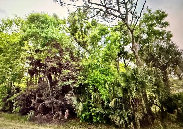 Photo 2 of Land for sale at 2551 Nw 35th Drive, Okeechobee, FL 34972 | MLS# F10555821 | Listing updated on 2026-09-14