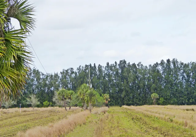 Photo 4 of House for sale at Tbd S Header Cnl Rd, Fort Pierce, FL 34945 | MLS# R11168298 | Listing updated on 2026-09-15