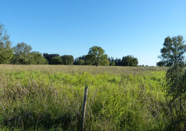 Photo 2 of Land for sale at Tbd 2 Pineapple Ln, Fort Pierce, FL 34945 | MLS# B26000122 | Listing updated on 2026-09-15