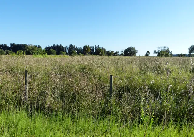 Photo 3 of Land for sale at Tbd 2 Pineapple Ln, Fort Pierce, FL 34945 | MLS# B26000122 | Listing updated on 2026-09-15