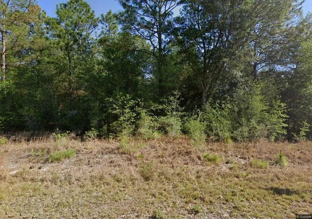 Photo 1 of Land for sale at 20313 Sw Audubon Ave, Dunnellon, FL 34431 | MLS# R11150579 | Listing updated on 2026-09-30