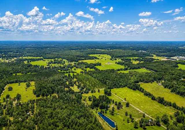 Photo 2 of Land for sale at 6600 150th Place, Wellborn, FL 32094 | MLS# B26045611 | Listing updated on 2026-09-16