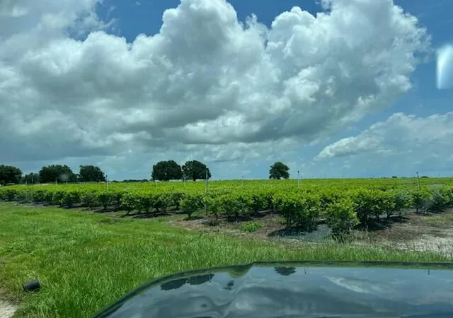 Photo 3 of Land for sale at 4450 Walker Lake Rd, Bartow, FL | MLS# B26046838 | Listing updated on 2026-09-23