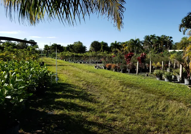 Photo 2 of Land for sale at 14375 Okeechobee Blvd, Loxahatchee, FL 33470 | MLS# B26047378 | Listing updated on 2026-09-16