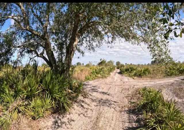 Photo 1 of Land for sale at 0 Nw 318th Street, Okeechobee, FL 34972 | MLS# B26052555 | Listing updated on 2026-09-14