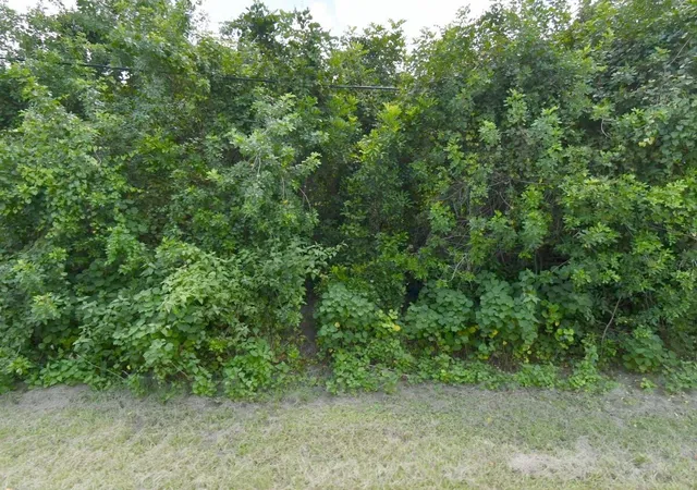 Photo 1 of Land for sale at 3025 Sw Collings Dr, Port Saint Lucie, FL 34953 | MLS# B26056750 | Listing updated on 2026-09-13