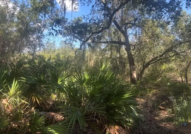 Photo 1 of Land for sale at 1211 Mayfair St, Lake Placid, FL 33852 | MLS# B26059752 | Listing updated on 2026-09-15