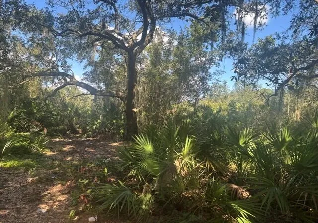 Photo 2 of Land for sale at 1211 Mayfair St, Lake Placid, FL 33852 | MLS# B26059752 | Listing updated on 2026-09-15