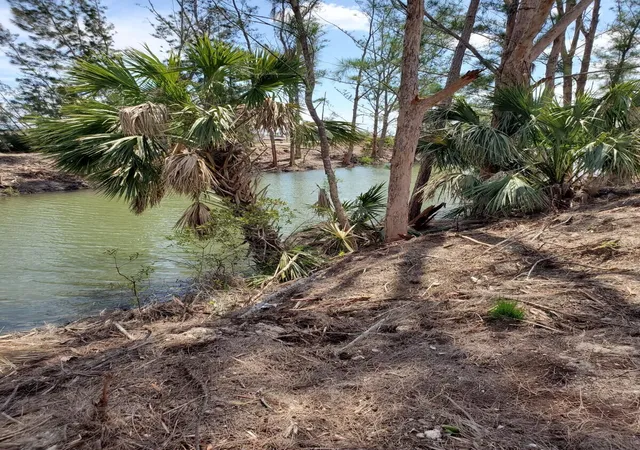 Photo 1 of Land for sale at 3905 Ne 9th Avenue, Cape Coral, FL 33909 | MLS# B26062668 | Listing updated on 2026-09-15
