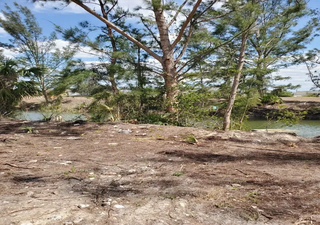 Photo 2 of Land for sale at 3905 Ne 9th Avenue, Cape Coral, FL 33909 | MLS# B26062668 | Listing updated on 2026-09-15