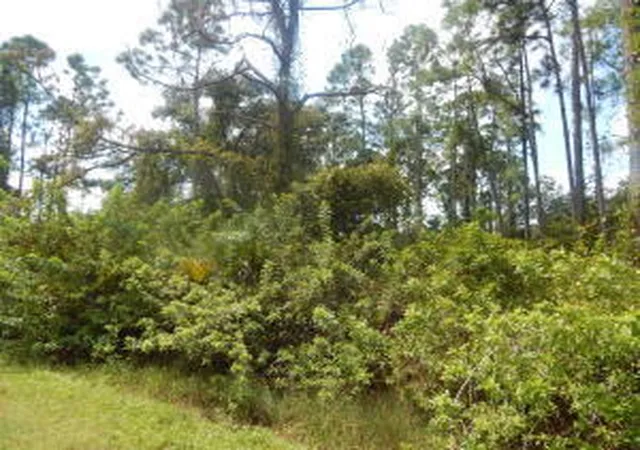 Photo 1 of Land for sale at 1207 Dayton Ave, Lehigh Acres, FL 33972 | MLS# B26063841 | Listing updated on 2026-09-15