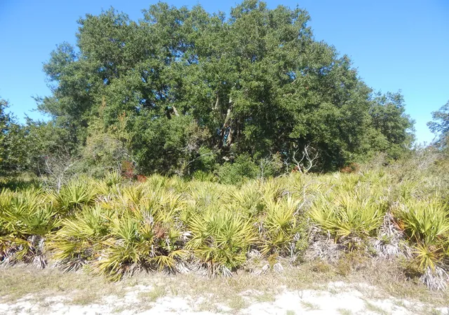 Photo 1 of Land for sale at 0 Park Ave, Indian Lake Estates, FL None | MLS# B26066533 | Listing updated on 2026-09-23
