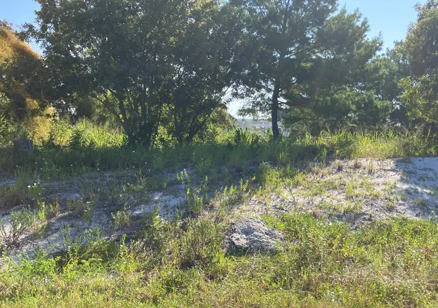 Photo 3 of Land for sale at 0000 Us Hwy 1, Fort Pierce, FL 34946 | MLS# B26066705 | Listing updated on 2026-09-13