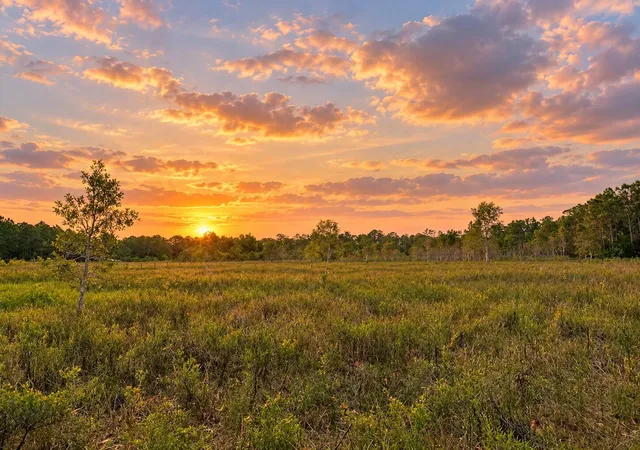 Photo 1 of Land for sale at 2524 Se Ranch Acres Cir, Jupiter, FL 33478 | MLS# B26068380 | Listing updated on 2026-09-23