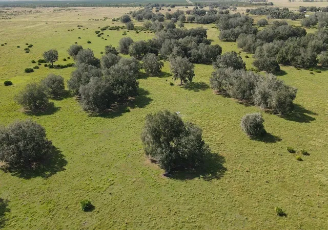 Land for sale at 101 Percheron Trl, Venus, FL 33960 | MLS# B26071863