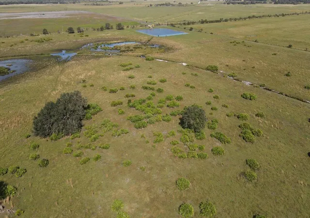 Photo 2 of Land for sale at 101 Percheron Trl, Venus, FL 33960 | MLS# B26071863 | Listing updated on 2026-09-23