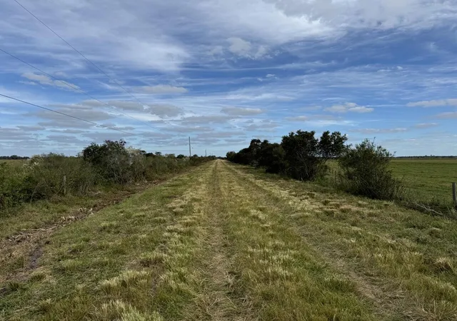 Photo 3 of Land for sale at 101 Percheron Trl, Venus, FL 33960 | MLS# B26071863 | Listing updated on 2026-09-23