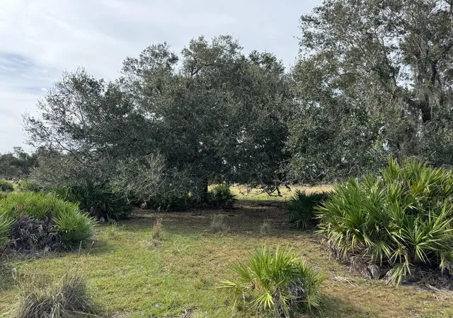 Photo 4 of House for sale at 101 Percheron Trl, Venus, FL 33960 | MLS# B26071863 | Listing updated on 2026-09-23
